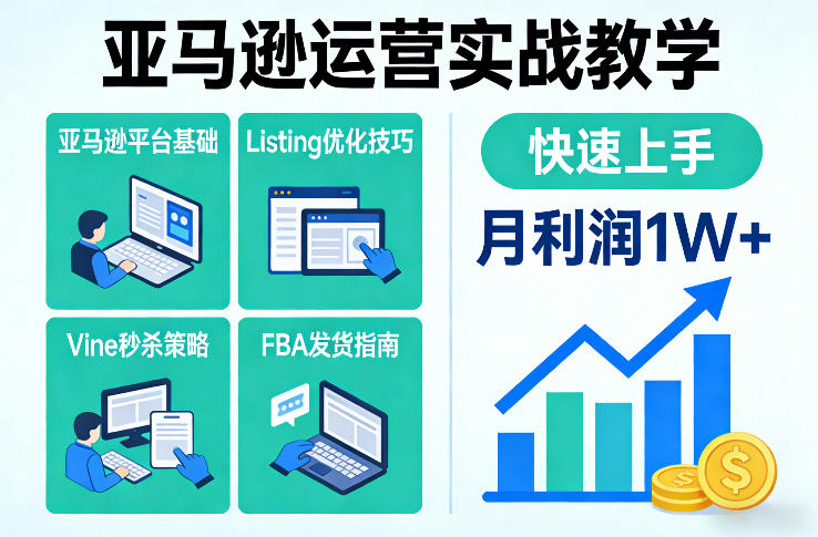 亚马逊运营实战教学，亚马逊平台+Listing优化+Vine秒杀+FBA发货等，快速上手，实现店铺月利润1W-小目标云网创