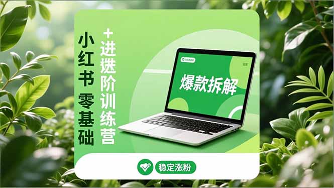 小红书零基础+高阶训练营:安全养号、爆款拆解、长效运营,实现稳定涨粉与变现-小目标云网创