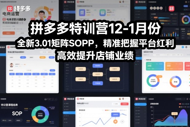 拼多多特训营12-1月份，全新3.01矩阵Sop，精准把握平台红利，高效提升店铺业绩-小目标云网创