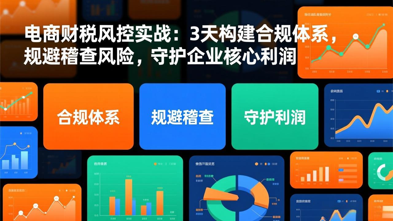 电商财税风控实战：3天构建合规体系，规避稽查风险，守护企业核心利润-小目标云网创